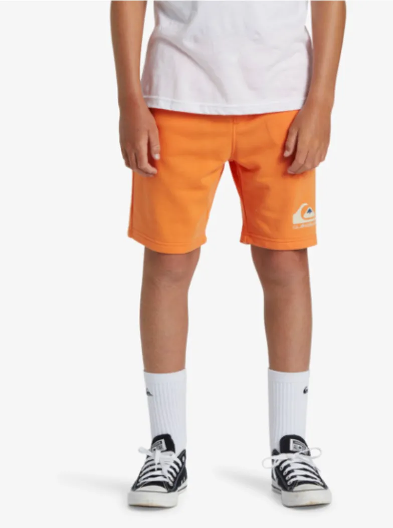 Quiksilver Easy Day - Sweat Shorts For Boys