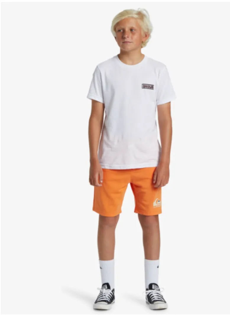 Quiksilver Easy Day - Sweat Shorts For Boys