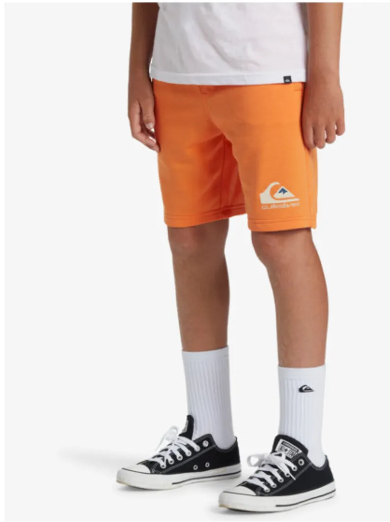 Quiksilver Easy Day - Sweat Shorts For Boys